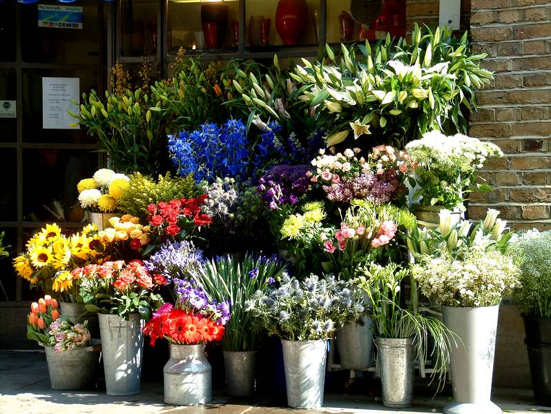 Kliknij - zobaczysz due zdjcie