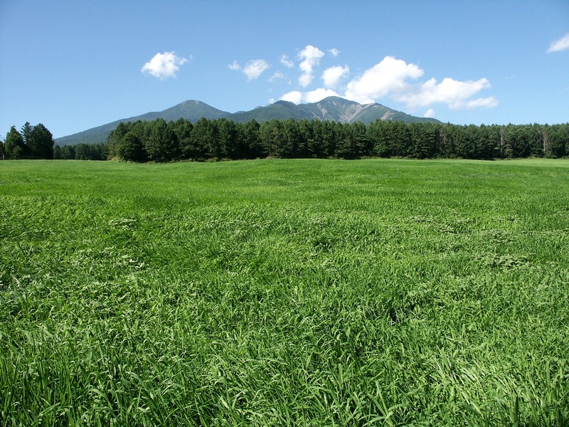 Kliknij - zobaczysz due, orginalne zdjcie