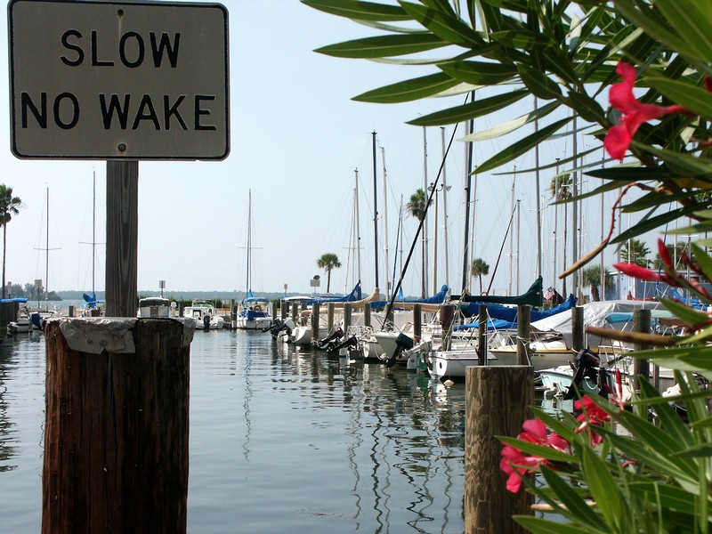 Kliknij - zobaczysz due, orginalne zdjcie