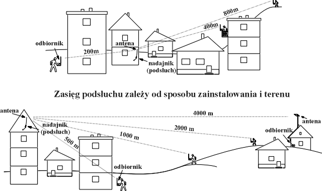 sonachiznz.gif (31371 bytes)