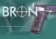 Polskie Centrum Internetowe - www.bron.pl